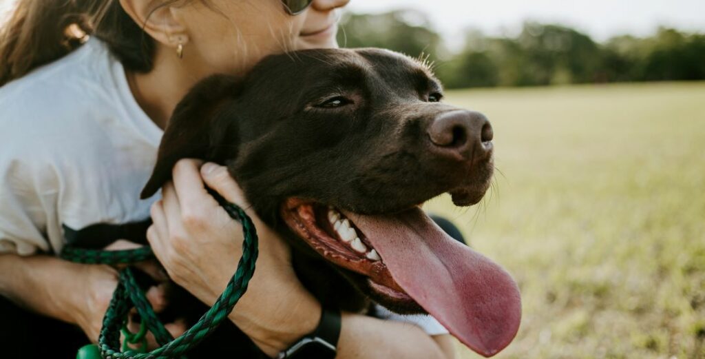 Women dog fish oil 1 e1714036273310